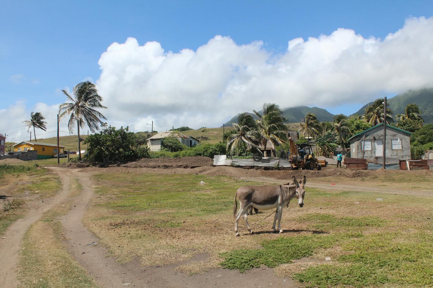 Read more about the article 🇰🇳 Saint Kitts and Nevis: Caribbean Charm in Two Islands